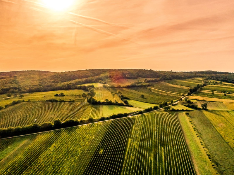 In der Rosalia treffen ganz unterschiedliche Lebensräume wie Wälder, offene Landschaften und Weingärten aufeinander. 