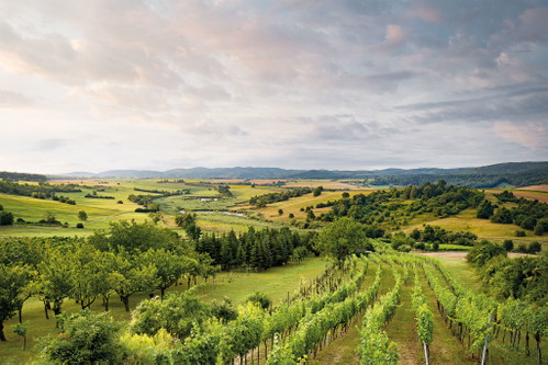 Wälder und Wiesen: Der Naturpark bietet ein vielfältiges Landschaftsbild.