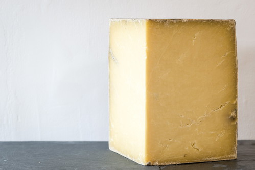 Cheddar Montgomery