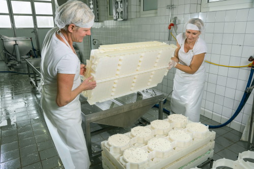 Traditionelle Herstellungsmethoden treffen auf moderne. Die 
Familie Stöbich ­stellt 
in der St. Leonhardter Bio-Käserei gefeierte Weichkäsespezialiäten aus Bio-Milch ihrer 
eigenen Kühe her. 
