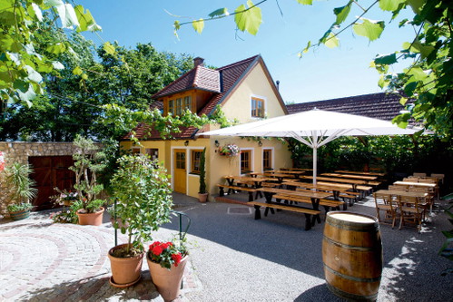 Das Weingut Edlmoser.