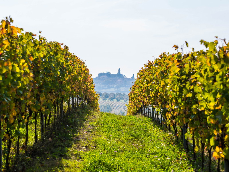 Nizza Monferrato.
