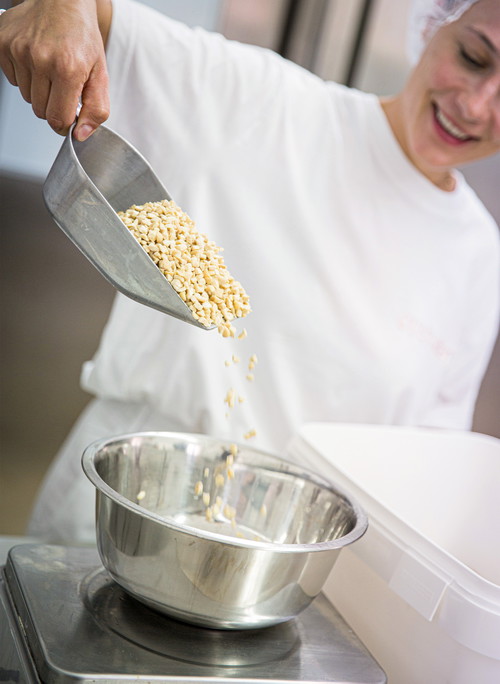 Cashew. Die Kerne des Cashewbaums sind besonders fetthaltig und geschmacklich relativ neutral. Genau das macht sie so attraktiv für die Herstel-lung von veganem Käse.