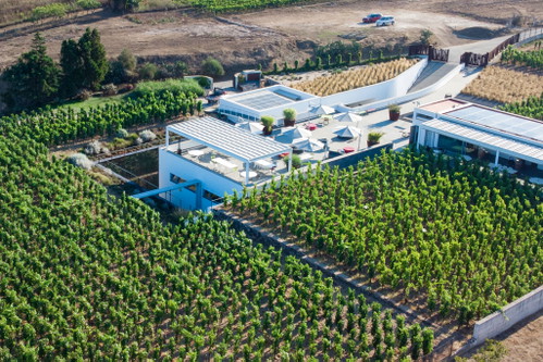 Zur »Tenuta di Castellaro« auf Lipari gehört auch ein Weinresort mit Zimmern mitten im Weinberg. 