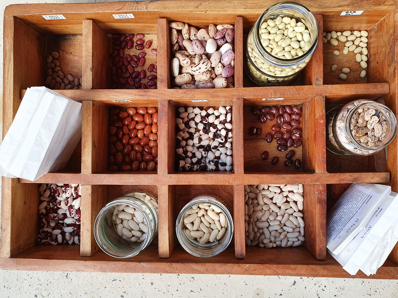 Bohnen zählen zu den kulinarischen Schätzen des Burgenlands – sie sind vielfältig einsetzbar, vom Strudel bis zum Craft Bier reicht die Palette.