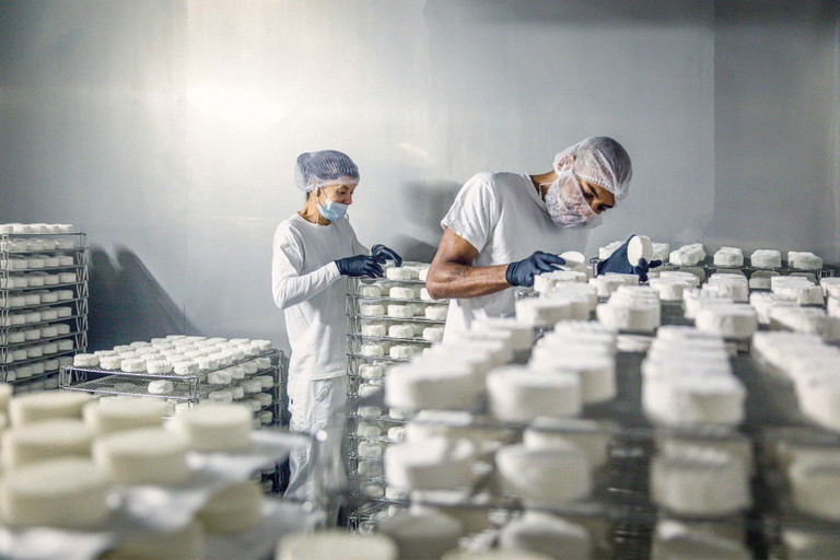 Handwerk. Egal, ob Cashew- oder Kuhmilch – bei der Herstellung von Käse sind Fingerspitzengefühl und Erfahrung gefragt.