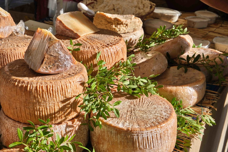 Casu Marzu – der gefährlichste Käse der Welt.