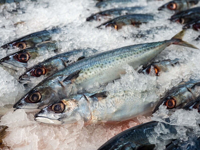Der Handel mit Süß- und Salzwasserfischen hat in Österreich eine lange Tradition, und die Beliebtheit von frischem Fisch ist ungebrochen.