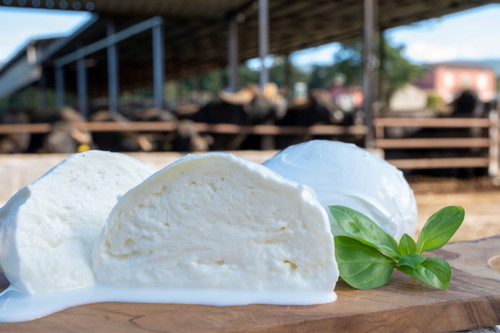 Mozzarella di bufala 
Campana DOP 