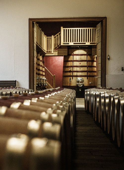 ...und der Keller, in dem der Wein reift, bevor er auf den Markt kommt.  