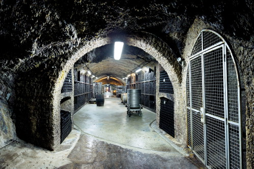 Keller im Weingut Krone Assmannshausen. 