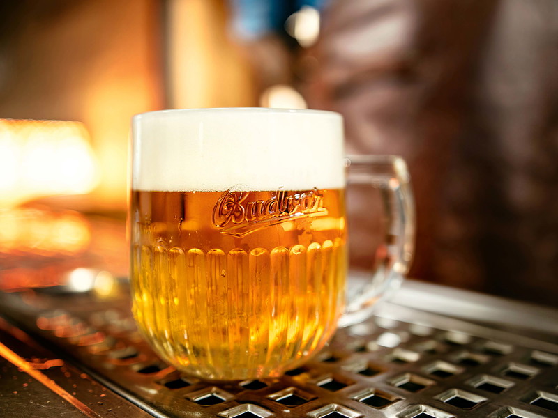 Helles Lagerbier, wie es heute in jedem Wirtshaus aus dem Zapfhahn sprudelt, gibt es erst seit Mitte des 19. Jahrhunderts. Von Tschechien aus eroberte die neue Brautechnik die Welt.