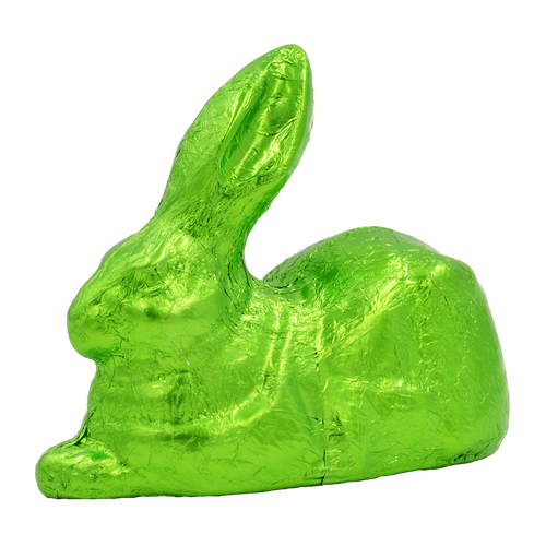 Dürer Hase von Fesey
