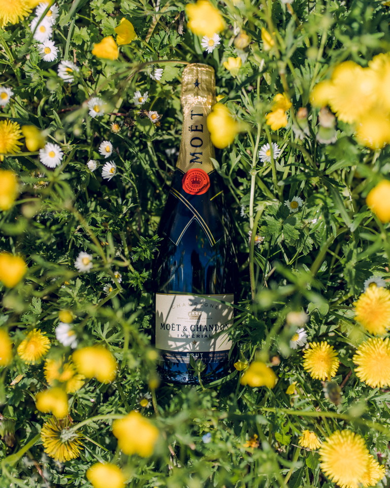 Moët &amp; Chandon: Die bekannte Champagnermarke und der ­nicht minder namhafte Cognac Hennessy sind Namenspaten für das Konglomerat Moët Hennessy von Getränkemarken bei LVMH.