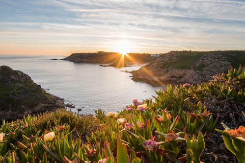 Ein ganz besonderes Schauspiel: der Sonnenuntergang bei Noirmont, südlich­
von Saint Aubin.