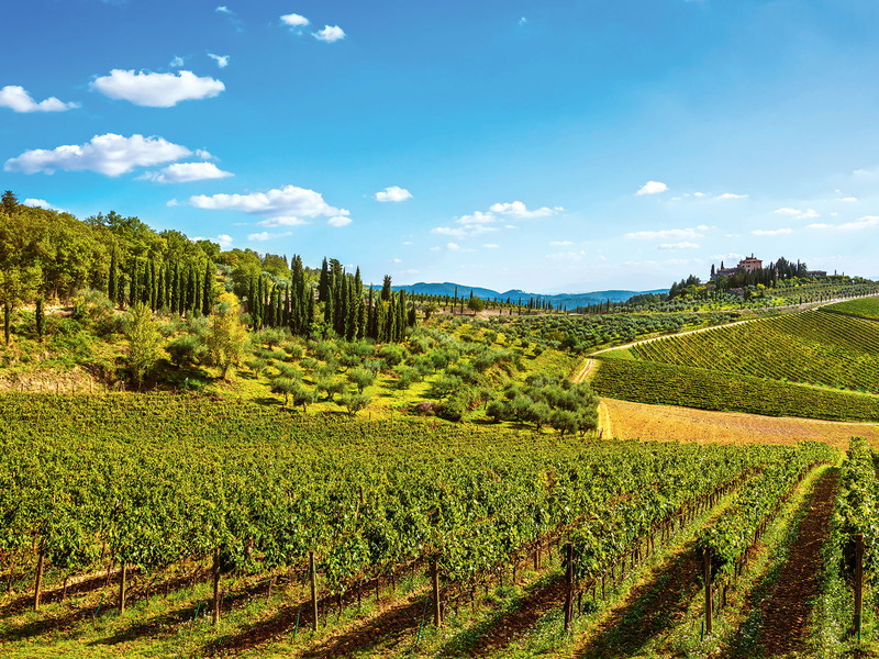 Radda im Herzen des Chianti Classico. Hier entstanden in den 70er- und 80er-Jahren die ersten Supertuscans. 