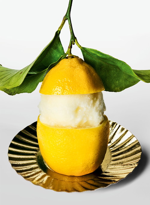 Sorbetto al Limone, 2023