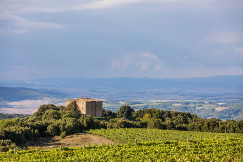 Castello Romitorio produces one of the best Brunello with the Filo di Seta.