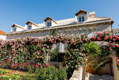 Award-winning. The "Lemongarden" hotel on the island of Brač was honoured with the Croatian State Prize for the best hotel.