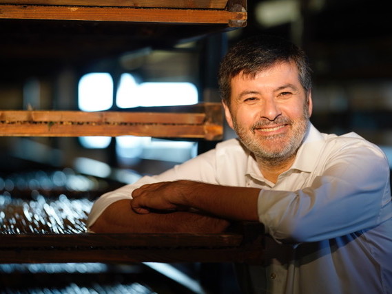 Raffaele Boscaini.