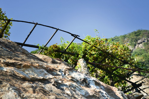 Nebbiolo is found almost exclusively in Italy – it grows in Piedmont, the Aosta Valley and Lombardy. 
