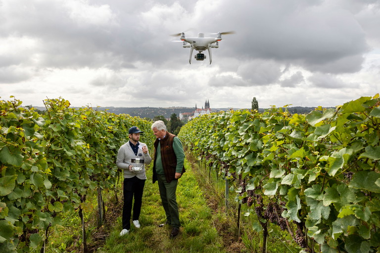 Drohneneinsatz: Ganz real im Weinberg von Schloss Proschwitz  in Sachsen stehen Martin Schieck von der Uni Leipzig und Georg Prinz zur Lippe (re.)