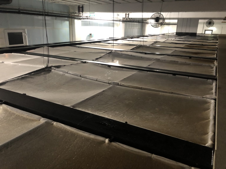 Salzburg Garnelen reifen in 14 Becken heran.