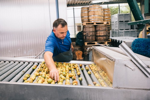 Einblick in den Produktionsprozess. © Manufaktur Gölles