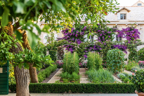 Naturoase. Der liebevoll gepflegte Garten sucht seinesgleichen und fasziniert mit zahlreichen Blüten.