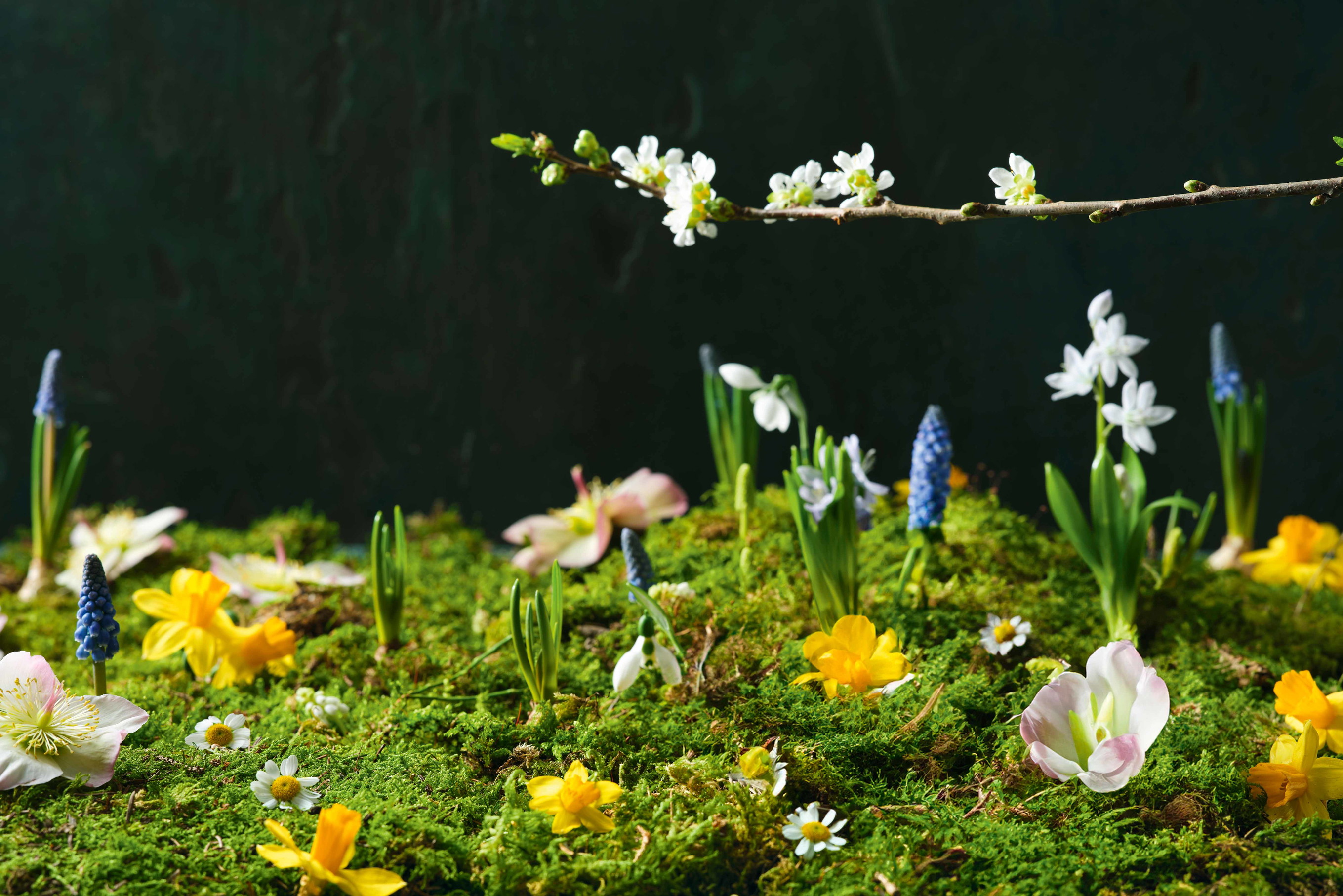 Eggs for spring: the best spring recipes with eggs - Falstaff
