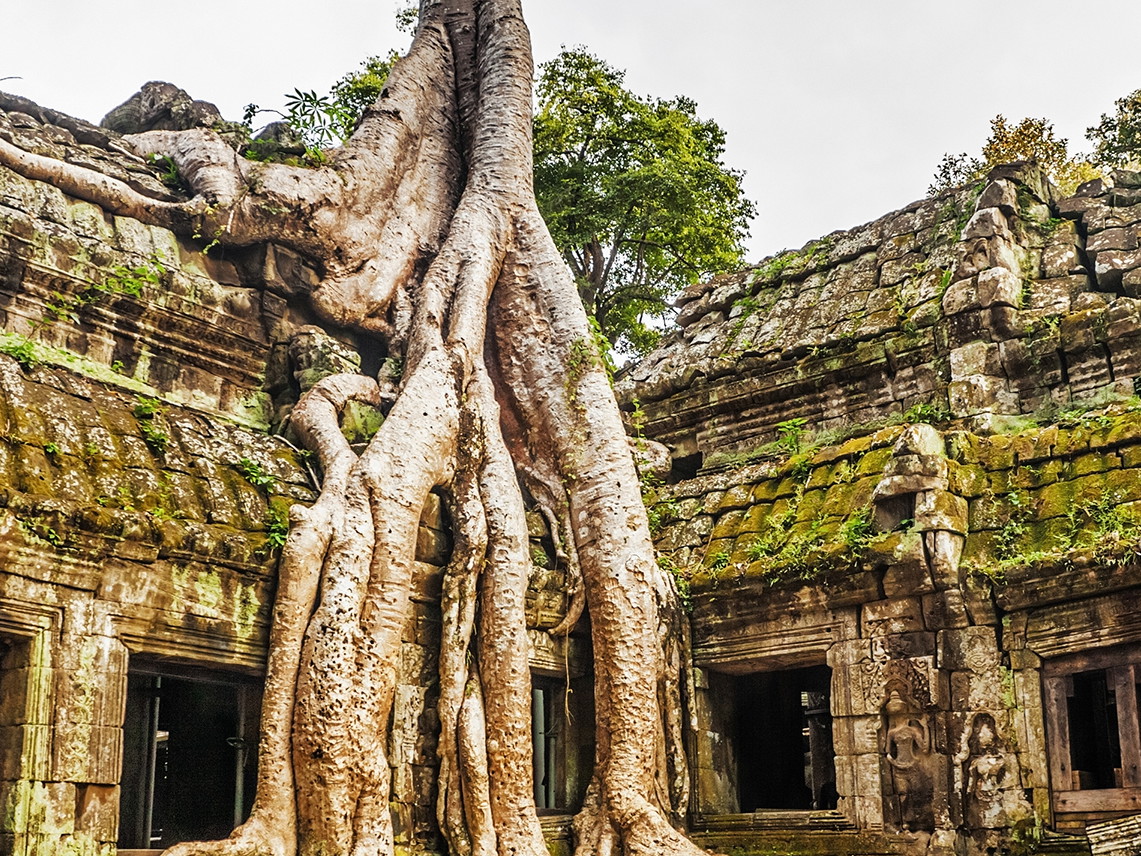 Ta Prohm, Kambodscha