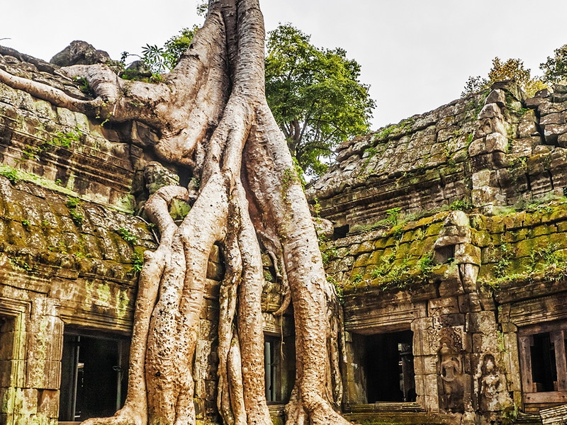 Ta Prohm, Kambodscha