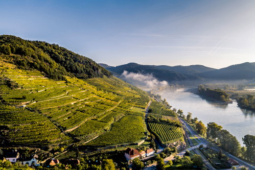 Ried Achleiten is a legendary vineyard section near Weißenkirchen.