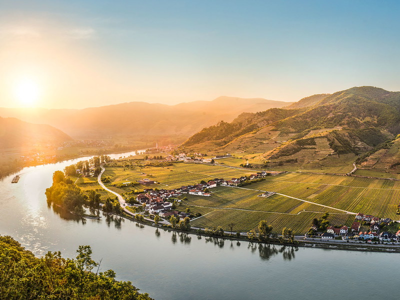 View from the Ferdinandswarte: the vineyards of Dürnstein and Oberloiben in the evening light.