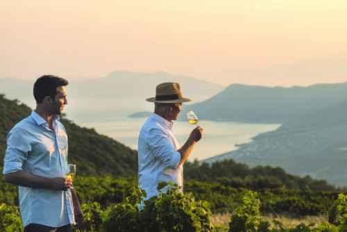Auf 250 bis 500 Metern werden die Muskateller-Weine kultiviert, deren »Vins de liqueur« eine der drei Säulen des Geschmacksprofils von Metaxa bilden.