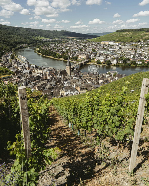 Die Lage Doctor in Bernkastel. 