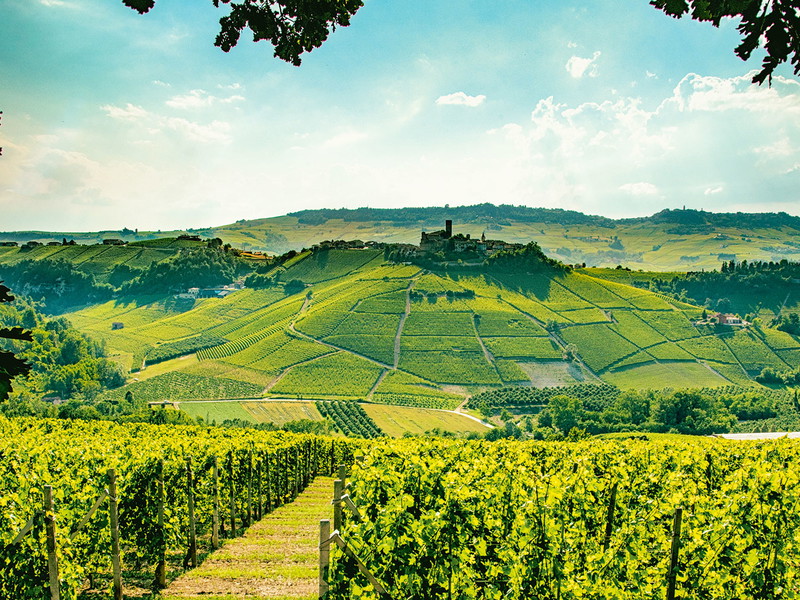 The Langhe, the hills near Alba in southern Piedmont, are famous for Barolo and Barbaresco. However, simpler Nebbiolo wines are also produced here, which are very exciting.
