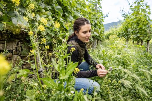 Julia Donabaum vom Weingut Donabaum.