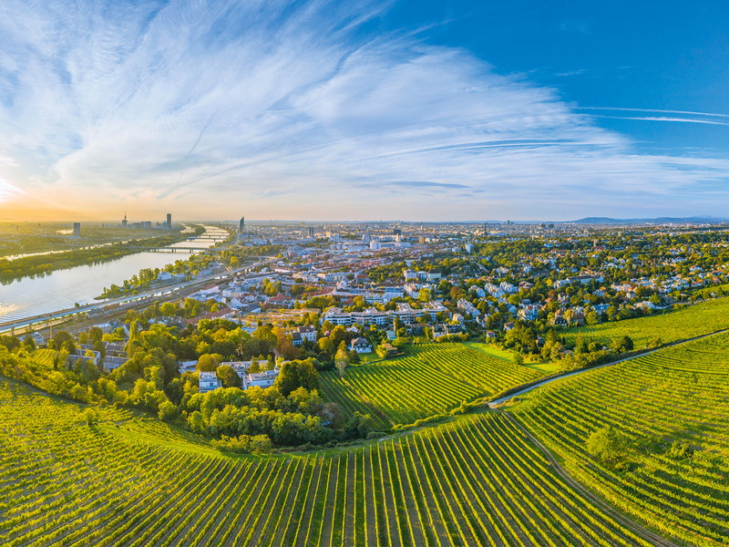 Die Stadt Wien ist wie Zürich eine Stadt mit reicher Kulinarik und Weinbau direkt vor ihren Toren. Bei Food Zurich sind verschiedene Wiener Gastronomen in Zürich zu Gast.