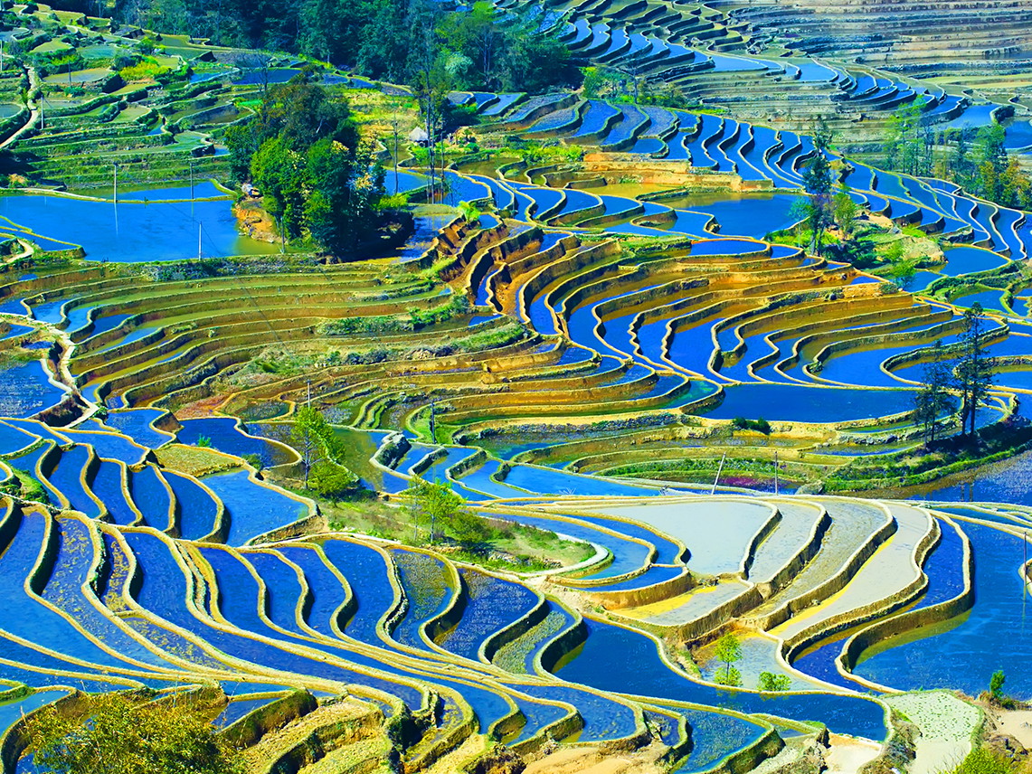 Reisterrassen von Yuanyang,