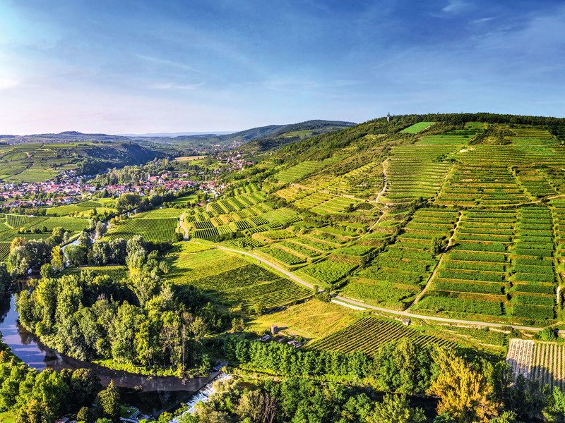 Der Zöbinger Heiligenstein ist unbestritten der König der Kamptaler Weinberge.
