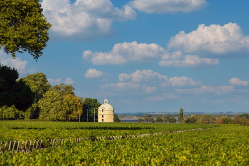 Seine privilegierte Lage direkt an der Gironde kann das Bio-zertifizierte Château Latour stets zu seinem Vorteil nutzen.