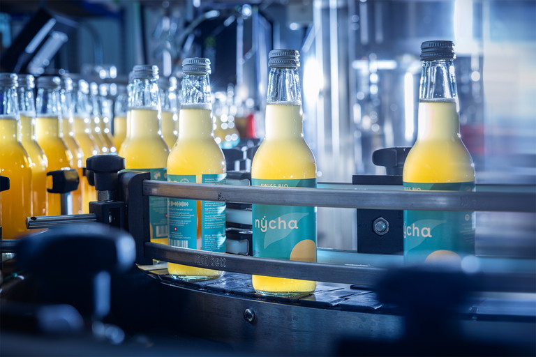 Reiner Kombucha: Die Natural-Version von nÿcha.