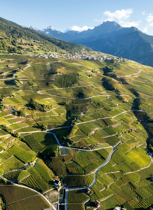 Viele schöne Wanderungen führen durch die terrassierten Walliser Weinberge. 