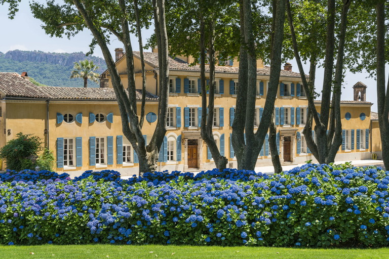 Château d’Esclans stieg durch Sacha Lichine zu Weltruhm auf, inzwischen besitzt Moët Hennessy eine Mehrheitsbeteiligung.