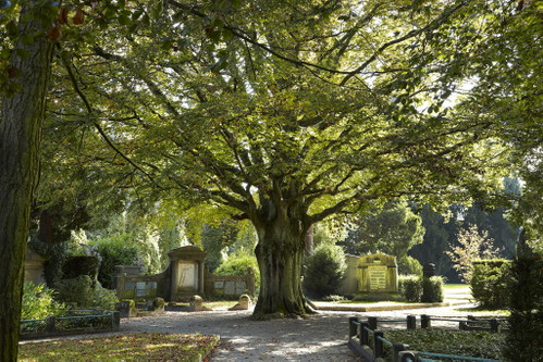 Der Friedhof Sihlfeld.