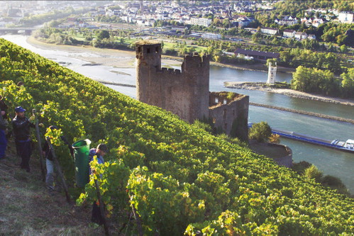 Rüdesheim im Rheingau ist die Heimat des Winzers Johannes Leitz, dessen entalkoholisierte »Eins-zwei-zero«-Weine zu den reifsten Produkten am Markt gehören.