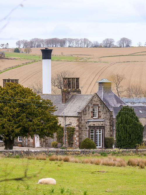 Die GlenDronach Distillery liegt in den malerischen Balnoon Hills. 
