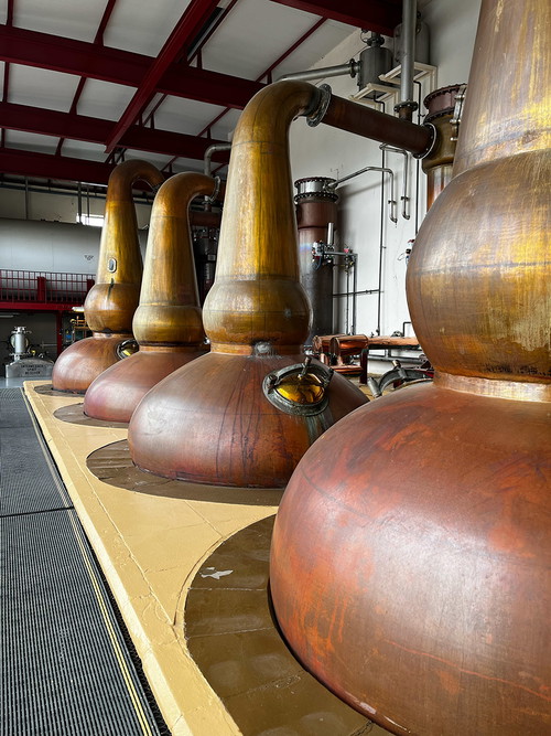 Die vier Brennblasen der GlenDronach-Brennerei