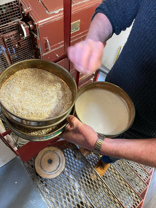 Auch der Mahlgrad des Malzes entscheidet über das Aroma des Whiskys.